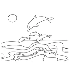 The-Playful-Dolphins