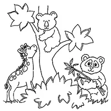 Coloring page of zoo animals