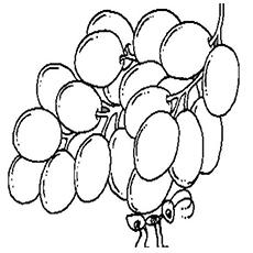 The ant with grapes coloring page