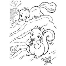 Download Top 25 Free Printable Squirrel Coloring Pages Online