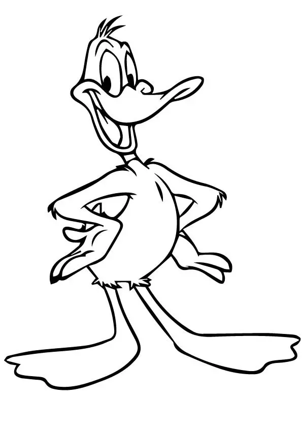 The-daffy-duck