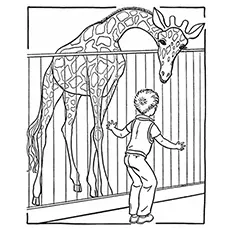 The giraffe in zoo coloring page