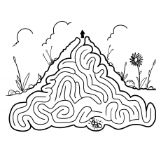 Ant farm coloring page