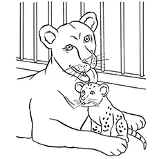 The lioness and her cub coloring page