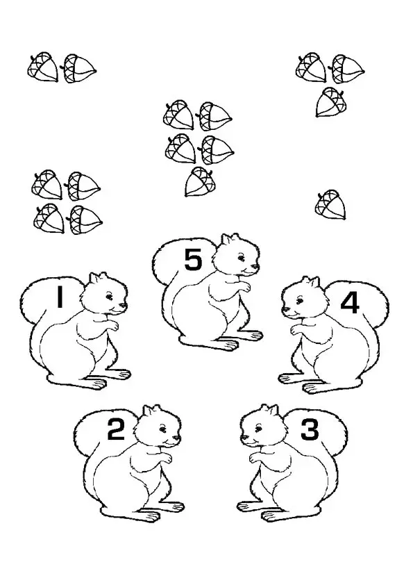 The-math-fun-with-squirrels