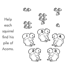 The-math-fun-with-squirrels