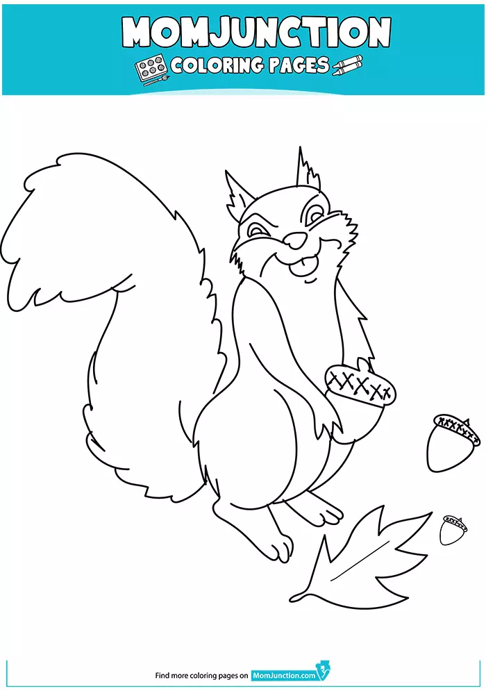 The-posing-squirrel-16