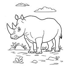 printable coloring pages of wild animals