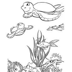 The sea turtle animal coloring page