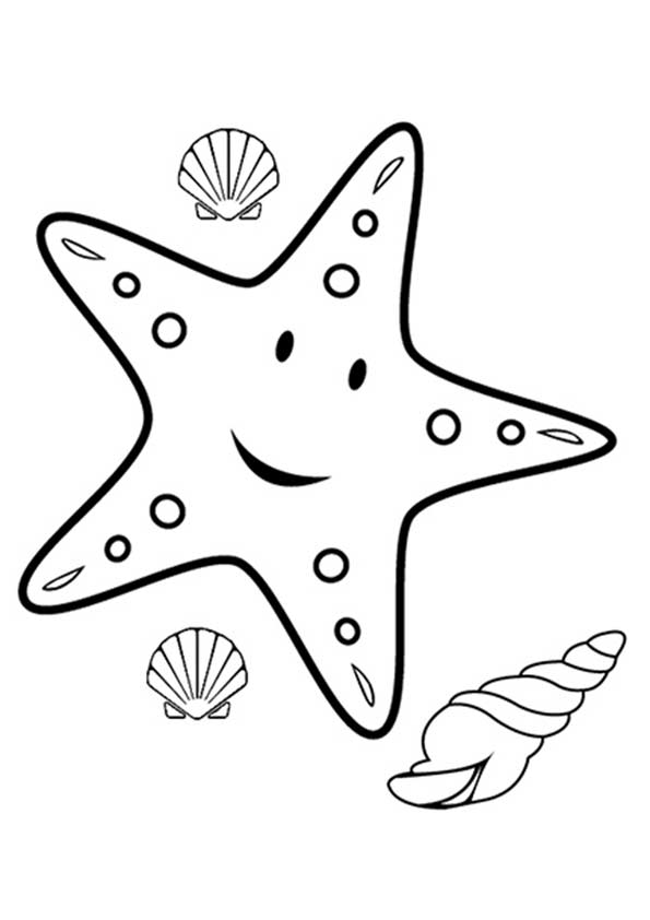 The-starfish