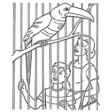 The toucan in cage coloring page