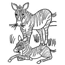 top 25 free printable wild animals coloring pages online