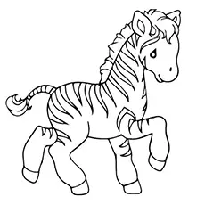 The zebra coloring page