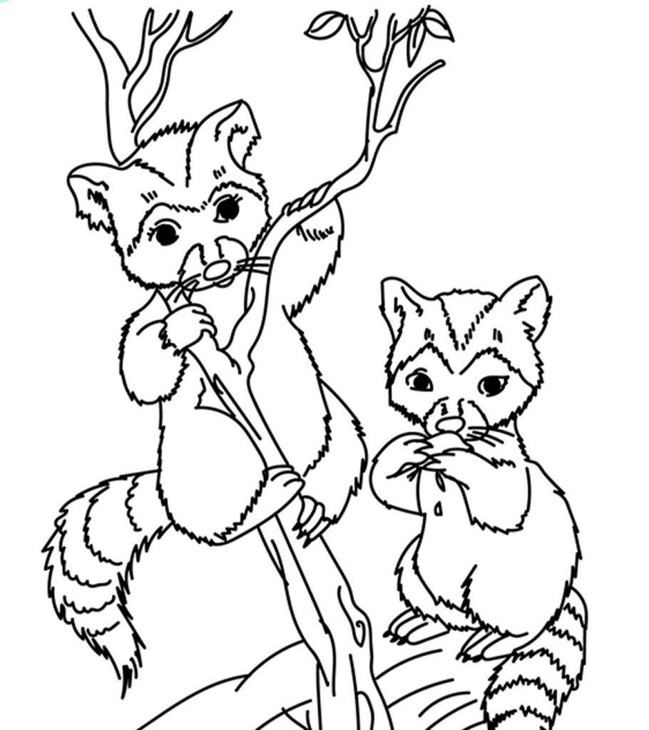 the wild coloring pages for children