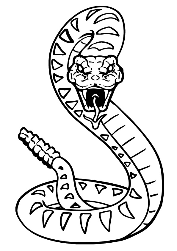 Venomous-Snakes