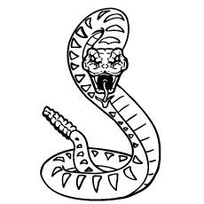 Coloring page of venomous snakes