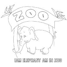 Zoo coloring pages