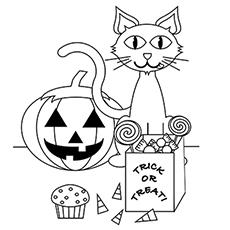 660 Cat Coloring Pages For Kindergarten For Free