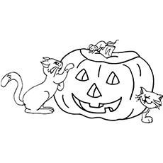 9500 Free Coloring Pages Halloween Cats  Images