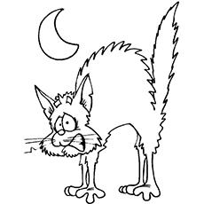 470 Top Halloween Cat Coloring Pages Pictures