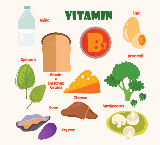 Vitamin b complex during pregnancy, vitamin b2