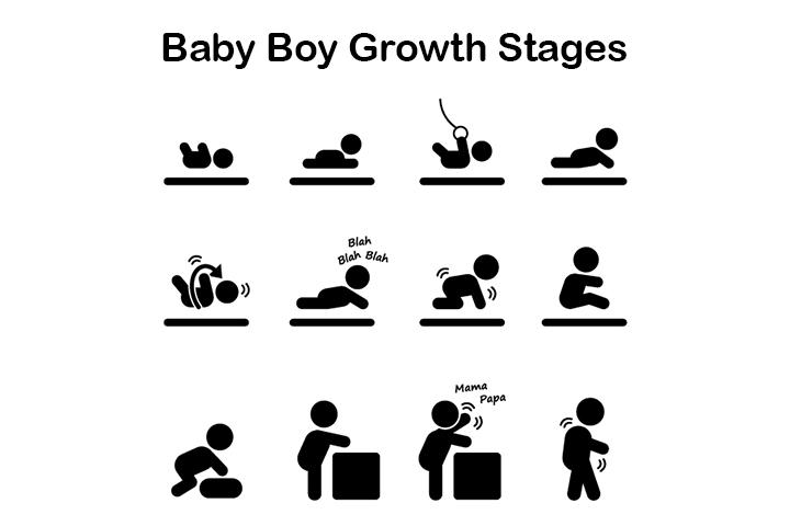 Baby Activity Chart Month Wise