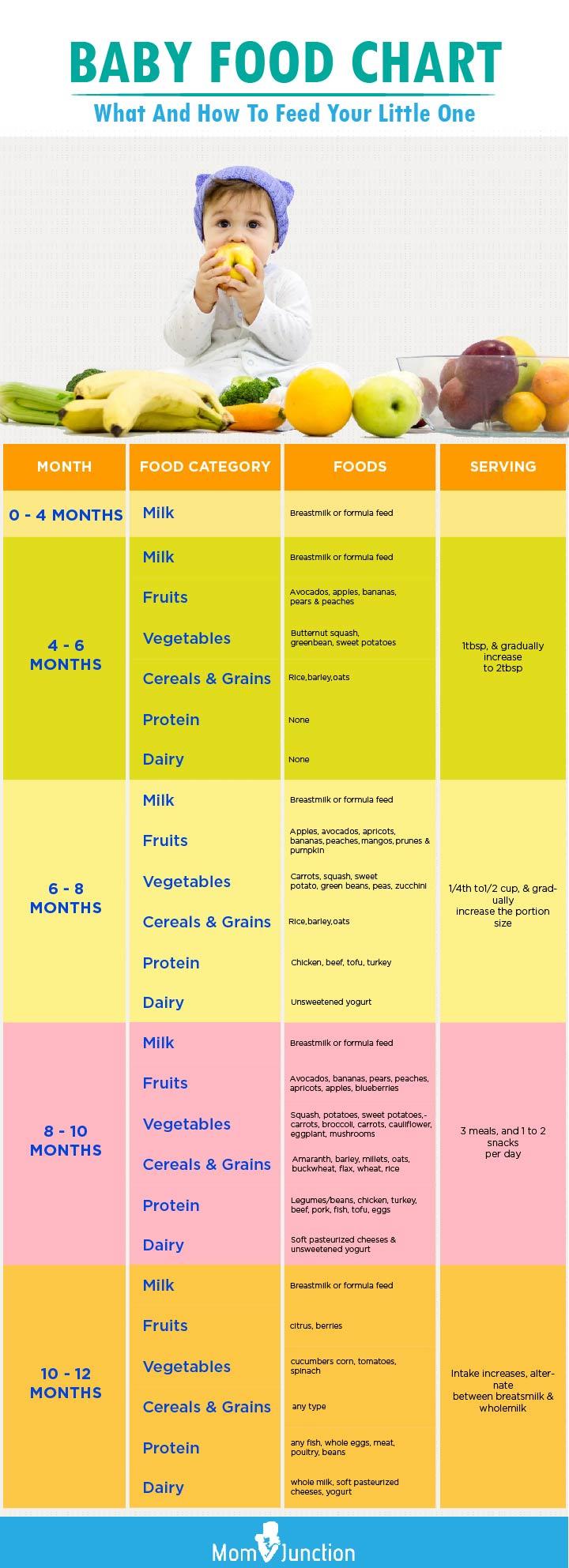 6 Month Baby Food Chart In