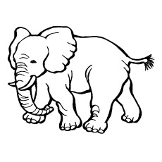 Zoo elephant coloring page