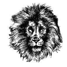 hand-drawn-lion