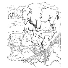 Ox animal with dear coloring page for kids