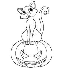 scary-halloween-cat11