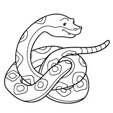 Snake Coloring Book