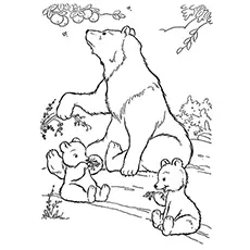 Wild life Bear Coloring Pages