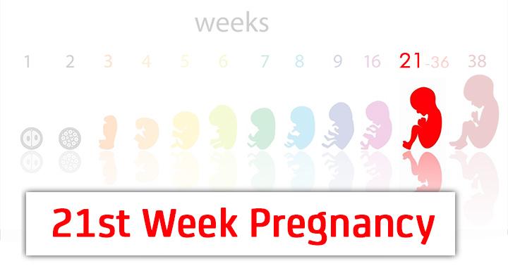 21st Week Pregnancy Symptoms Baby Development And Body Changes