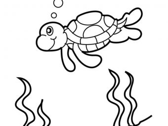 10 Cute Sea Turtle Coloring Pages Your Toddler Will Love To Color
