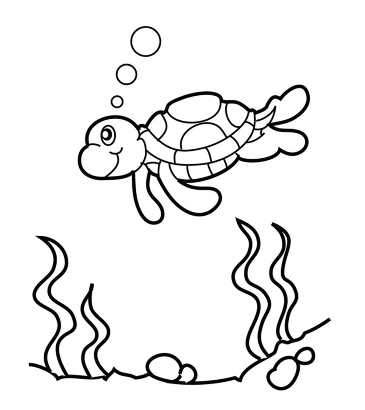 crush the turtle coloring page