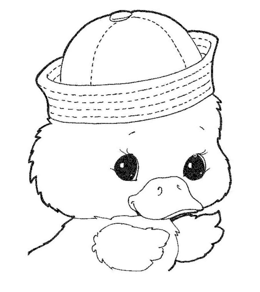 duck and duckling coloring pages