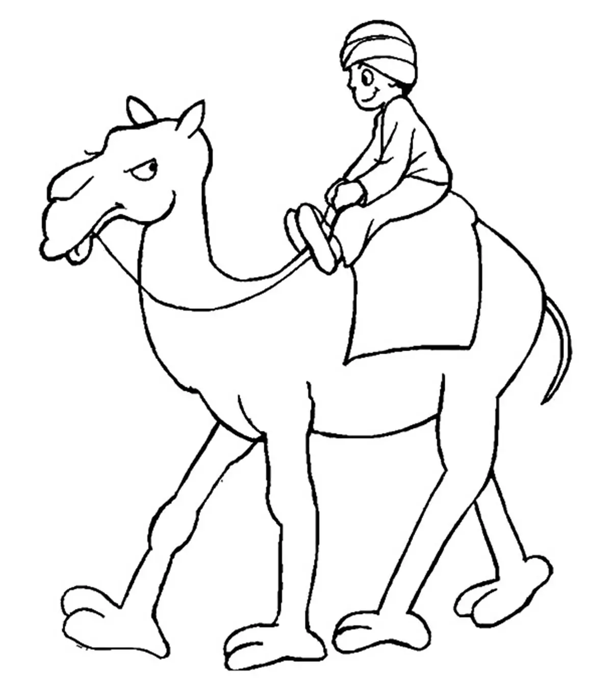 Black outline camel coloring page