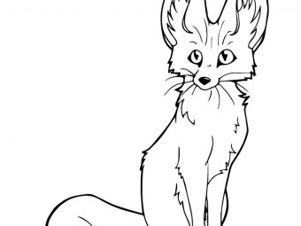 25 Interesting Fox Coloring Pages Your Toddler Will Love