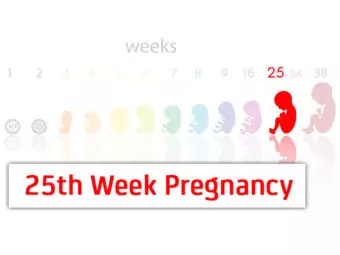 25 Weeks Pregnant: Symptoms, Baby Development And Growth