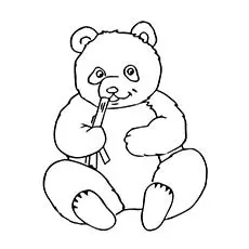panda bear coloring page