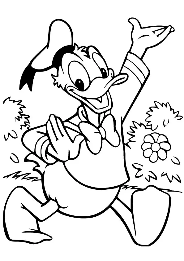 A-Cute-Donald-Duck-run