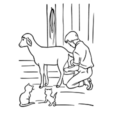 A Cute Goat Coloring Cat Coloring Pages