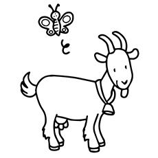 Goat chevre coloring page