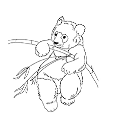 A Giant Panda coloring page