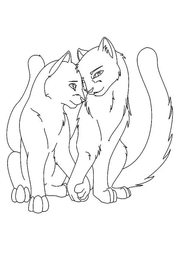 A-Love-Between-Warrior-Cats