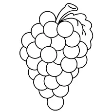 Lovely Grapes coloring page