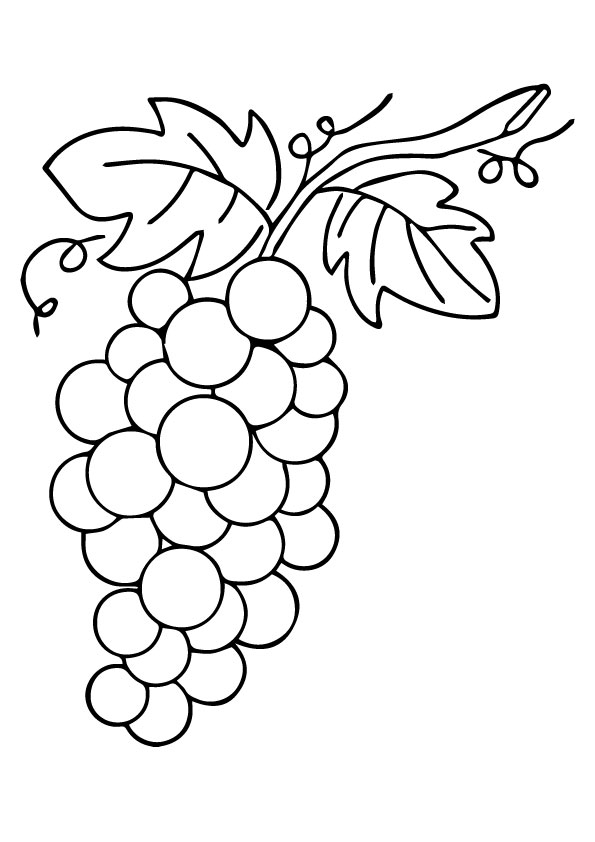 A-Lovely-Grapes-leaf