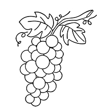 Lovely Grapes Leaf coloring page
