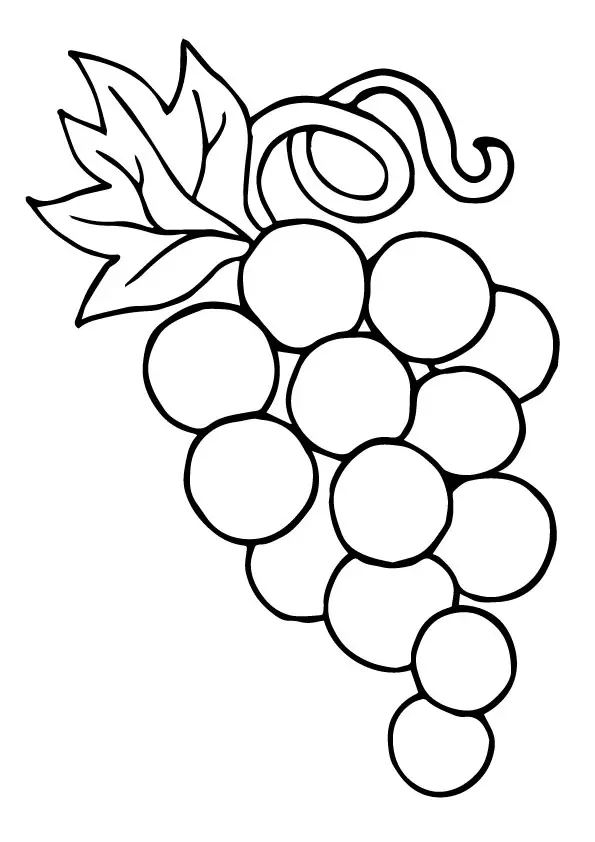 A-Lovely-Grapes-ring